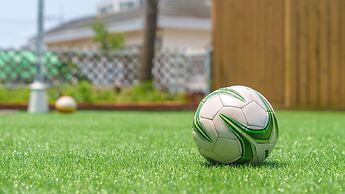 Taean Minoseu Pet Pension