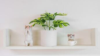 Taean Minoseu Pet Pension