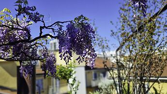 Italianway - Buenos Aires 2