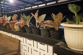 SPOT ON 93815 Chimi Rumah Kost