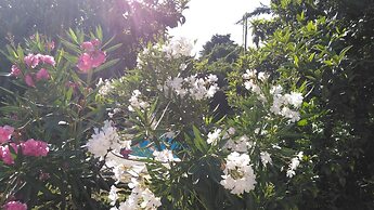 Arr Bida Sea Country Side Villa