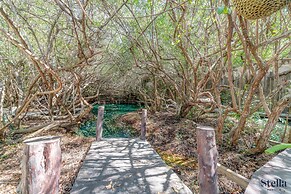 Jungle Studios on Beach Road with Pool