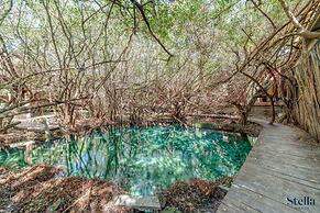 Jungle Studios on Beach Road with Pool