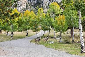 Close to Hot Springs: Chalk Creek Meadows Home!