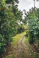 Kariwak Village Holistic Haven