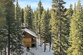 Secluded Rustic Mountain Retreat w/ Updated Touch