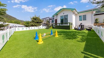 Danyang Dangdangi Dog Pension Black