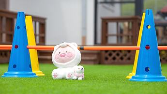 Danyang Dangdangi Dog Pension Black