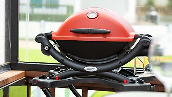 Danyang Dangdangi Dog Pension Black