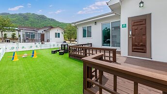 Danyang Dangdangi Dog Pension Black