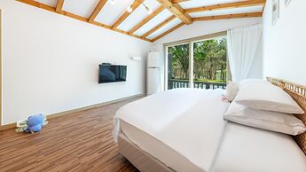 Danyang Dangdangi Dog Pension Black