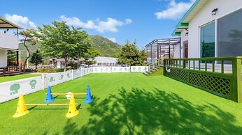 Danyang Dangdangi Dog Pension Black