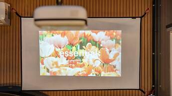 Gapyeong Dangdangi Pet Pension Green