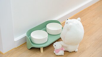 Gapyeong Dangdangi Pet Pension Green