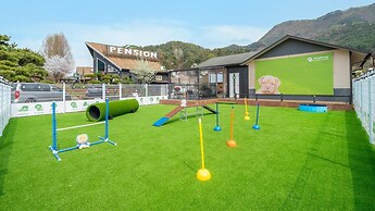 Gapyeong Dangdangi Pet Pension Green