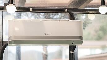 Gapyeong Dangdangi Pet Pension Green