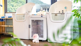 Gapyeong Dangdangi Pet Pension Green