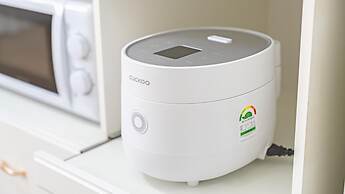 Gapyeong Dangdangi Pet Pension Green