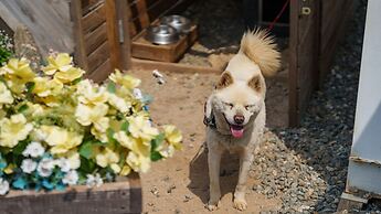 Gapyeong Iluglamping