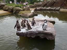 2 Bed Barn Alton Towers Chatsworth Polars Peaks