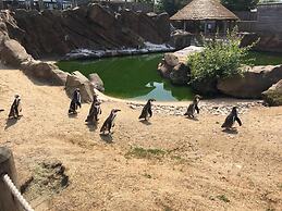 1 Bed Barn Alton Towers Chatsworth Polars Peaks