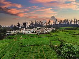 Mango Hill Shola Ooty