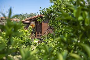 La Maison Hotel Çıralı