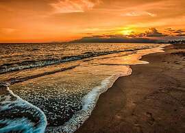 Luff Living Adult Only (+12)