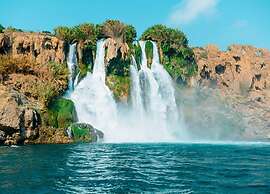 Luff Living Adult Only (+12)