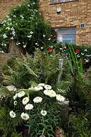 Richmond Lane Guest House