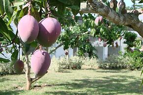 LA MASIA HOTEL BOUTIQUE
