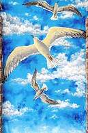 5 Frogs Hotel Bucerias