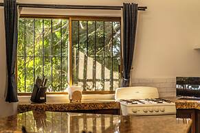 5 Frogs Hotel Bucerias