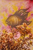 5 Frogs Hotel Bucerias