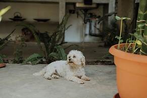 San Marcos Properties