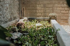 San Marcos Properties