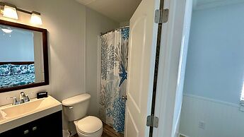 Fins Right - Next to Margaritaville