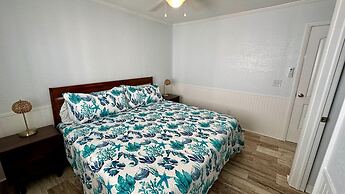 Fins Left - Next to Margaritaville