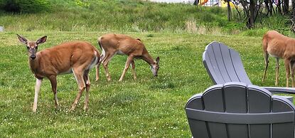 Lake View Retreat Avantstay Entertainer's Home Yard, Deck, Game Room