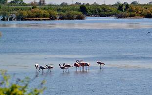 Garden Retreat by the sea on Albarella