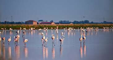 Garden Retreat by the sea on Albarella