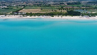 3800 Case Aida - Celeste Superior 1P by Barbarhouse