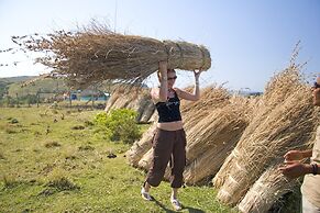 Coffee Shack Backpackers & Self-Catering