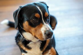 Boutiquehotel ZOMM in Seefeld