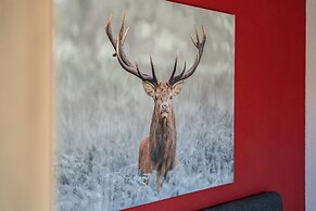 Boutiquehotel ZOMM in Seefeld