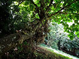 Niraamaya Private Home Stay Chikmagalur