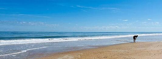 Twin Palms Beach House - Pool Hottub Game Room