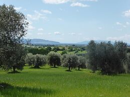 Tenuta Campospillo
