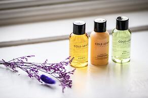 Dunfallandy House Hotel