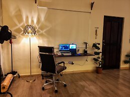 Golden Studio By Paradox